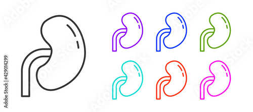 Black line Human kidney icon isolated on white background. Set icons colorful. Vector