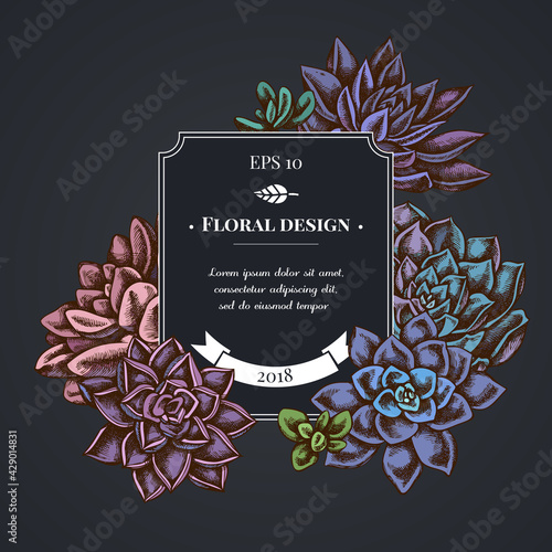 Dark badge design with succulent echeveria, succulent echeveria, succulent