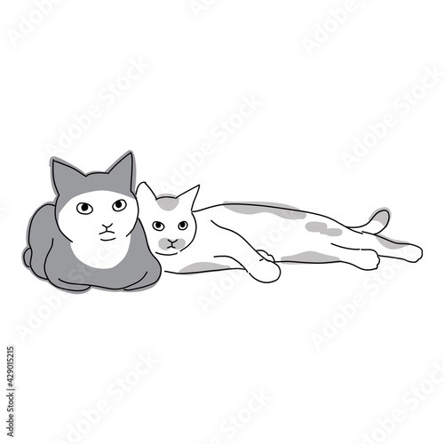 床に寝転がっている二匹の仲良しな猫の全身イラスト