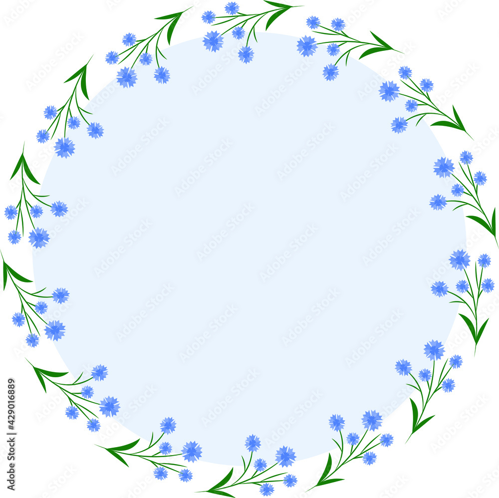Cornflower flowers in a round frame. Spring and summer time. Blooming flowers. Cornflower flowers in a round frame. Spring and summer time. Blooming flowers.
