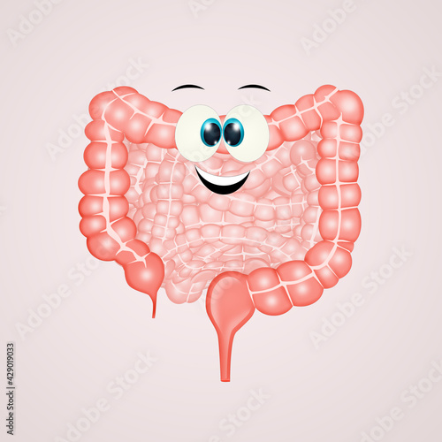 illustration of intestine cartoon with funny face