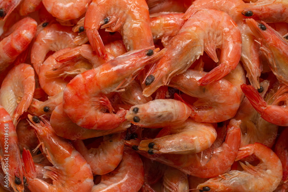 Shrimps background texture. A lot of shrimps. Cooked shrimps. Shrimps background texture. A lot of shrimps. Cooked shrimps.