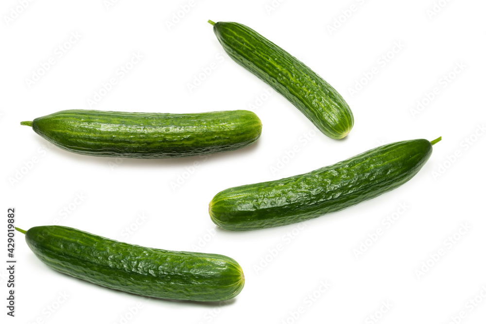 Cucumber isolated on white background. Cucumber isolated on white background.