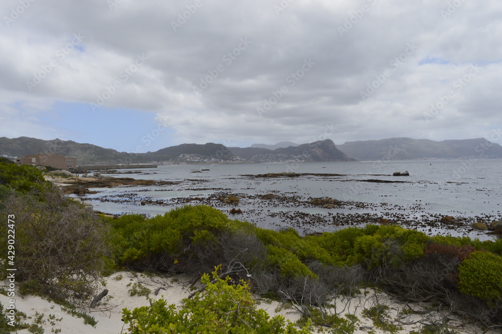 Way to the cape of good hope