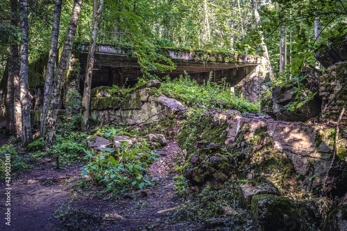 Ruins of Wilczy Szaniec - Wolfs Lair, first Eastern Front military headquarters of Hitler in Gierloz, Poland photo