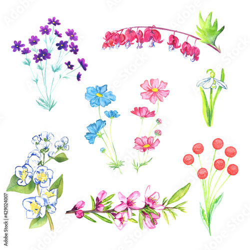 Spring flowers collection isolated on white hand painted watercolor illustration with handwritten inscriptions
