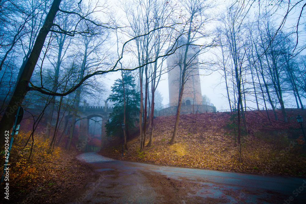 Tower of an ancient castle in an autumn gloomy forest on a foggy morning Tower of an ancient castle in an autumn gloomy forest on a foggy morning