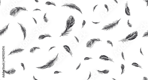 Set of bird feathers. Hand drawn sketch style.	
