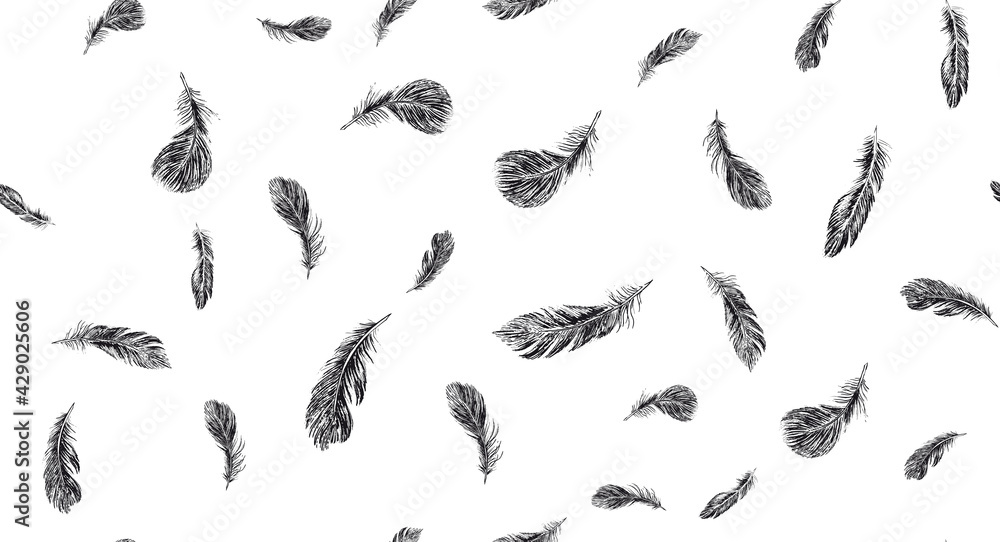 Fototapeta premium Set of bird feathers. Hand drawn sketch style. 