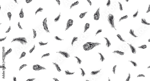 Set of bird feathers. Hand drawn sketch style. 