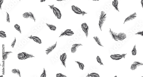 Set of bird feathers. Hand drawn sketch style. 