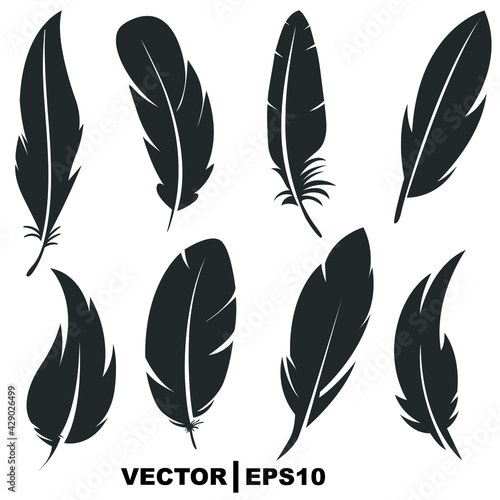 set of feathers on white background.