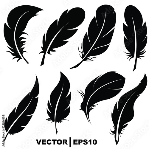 set of feathers on white background.