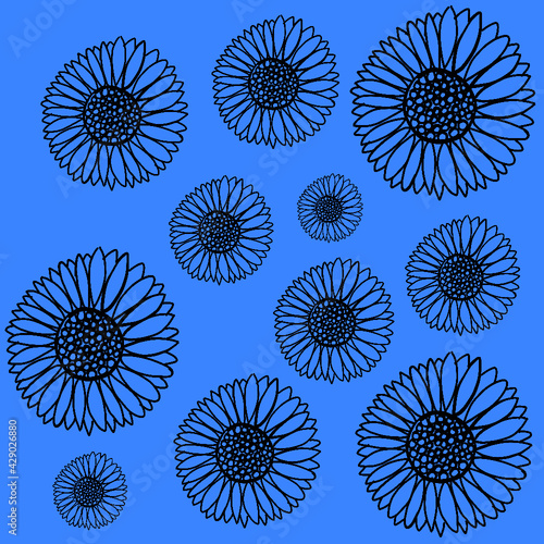 flowers, daisies ,sunflower,flower,flower,flower,flower bed,flower bed,flower bed, flower bed,flower bed,flower bed,flower bed,flower bed,flower bed,flower bed,flower bed, flower bed,flower bed, flowe