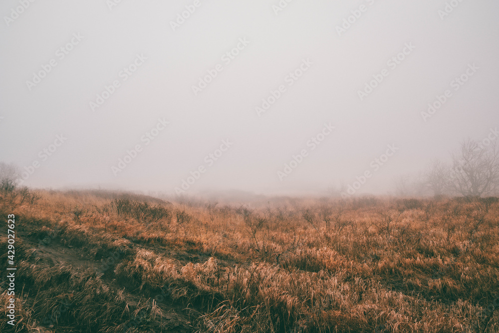 Thick fog on Mount Beshtau in Russia Thick fog on Mount Beshtau in Russia