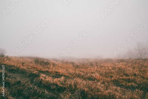 Thick fog on Mount Beshtau in Russia © Alena