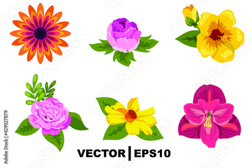 set of flowers on white background