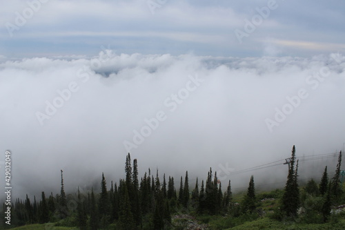 Heavy fog behind the forest on Mount Zelenaya in Sheregesh on the horizon © EKATERINA