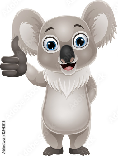 Cartoon funny koala giving thumb up