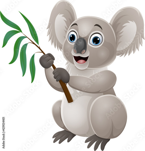 Cartoon koala holding a branch of eucalyptus tree