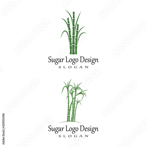 Sugar cane Logo Template vector symbol nature