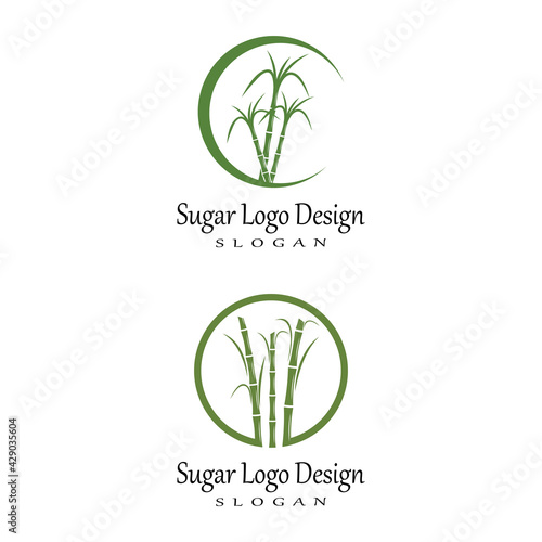 Sugar cane Logo Template vector symbol nature