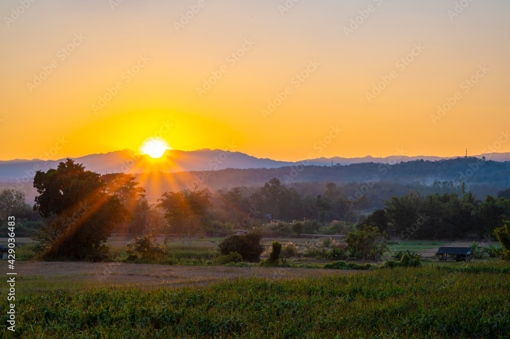 Evening sunset dawn Nature mountains and green rice field with sunstar