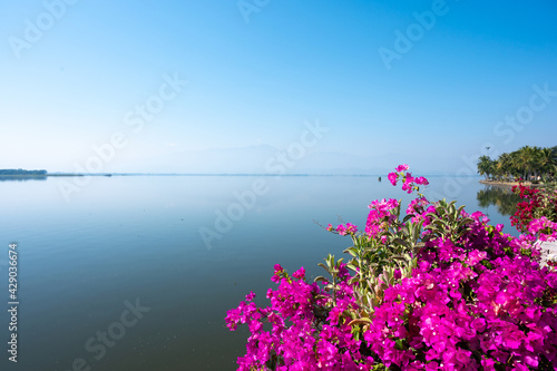 Fototapeta Naklejka Na Ścianę i Meble -  Beautiful lake of Phayao with blue sky at Phayao, Thailand.