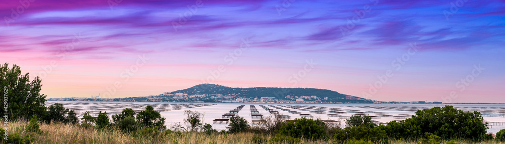 Obraz premium Mont Saint Clair and the Thau pond with its oyster tables in Hérault, Occitanie, France