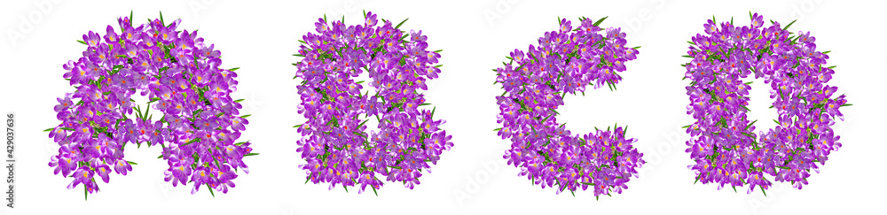 Naklejka premium Letters A, B, C, D from lilac violets