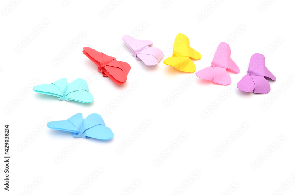 Colorful butterfly origami in follow