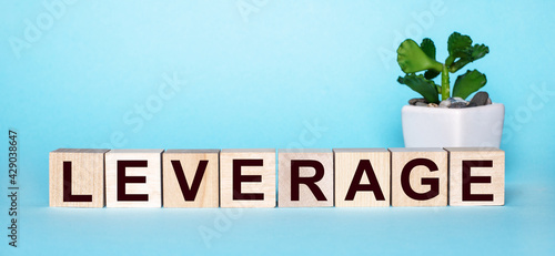 The word LEVERAGE is written on wooden cubes near a flower in a pot on a light blue background