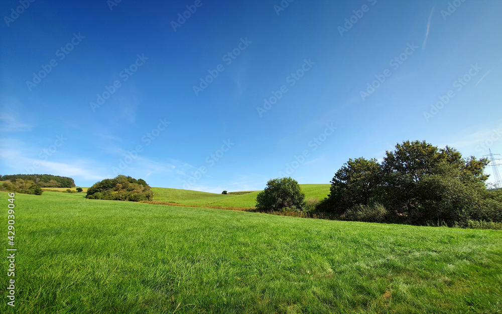 Green spring field with trees and blue sky. Green spring field with trees and blue sky.