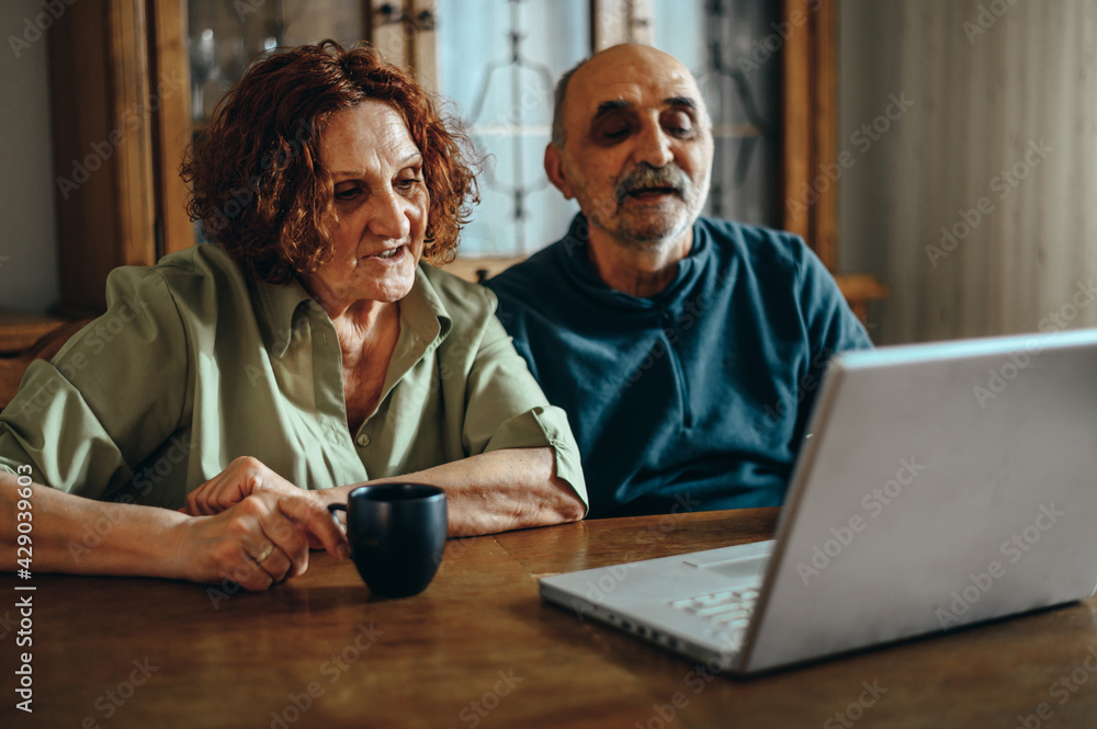 Senior couple using a laptop at home Senior couple using a laptop at home