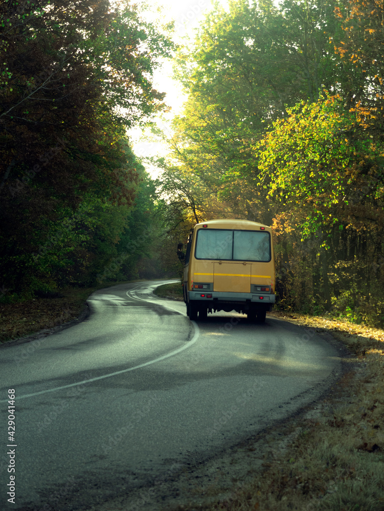 Fototapeta premium Road with school bus in beautiful summer forest.