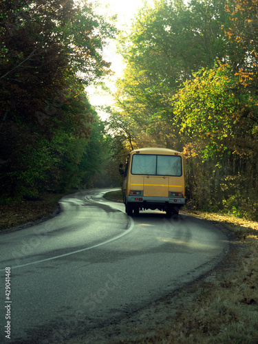 Road with school bus in beautiful summer forest.