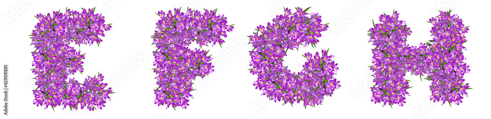 Letters E, F, G, H from lilac violets Letters E, F, G, H from lilac violets