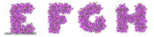 Letters E, F, G, H from lilac violets