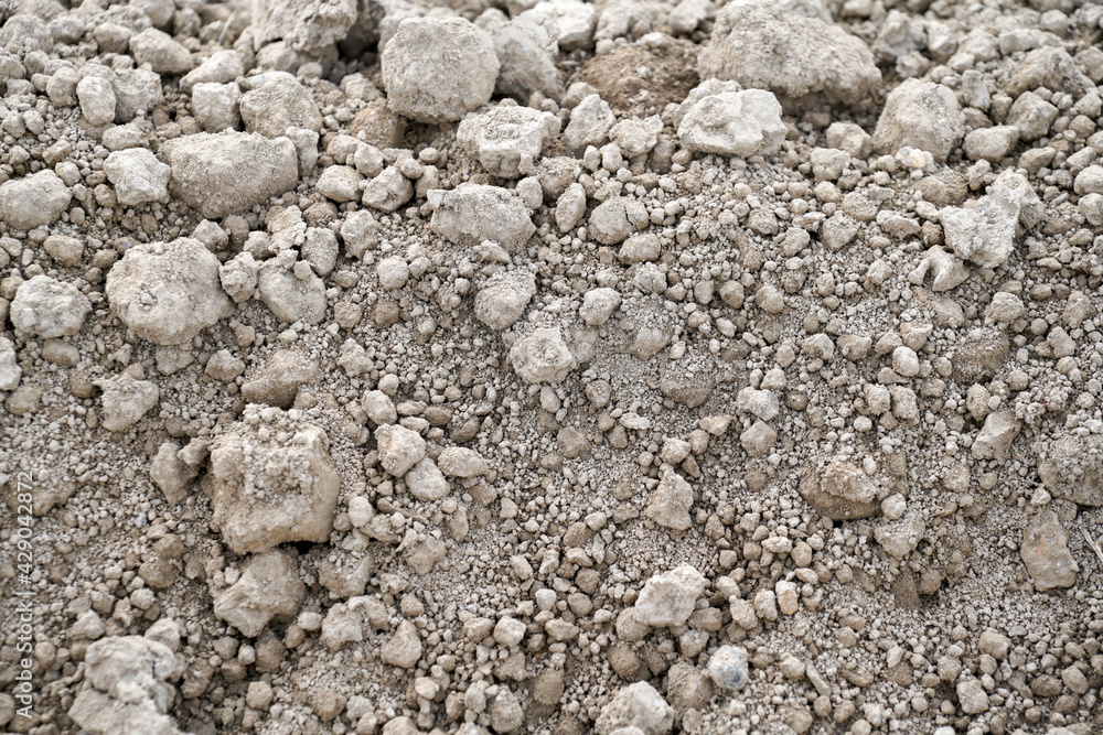 Organic and mineral structure of plants and soil containing humus in detail Organic and mineral structure of plants and soil containing humus in detail