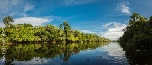 Landscapes of the Peruvian Amazon Rainforest
