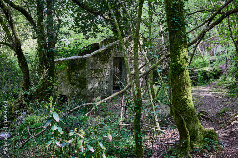 Obraz premium Old mill, abandoned and in ruins, in a forest with a stream