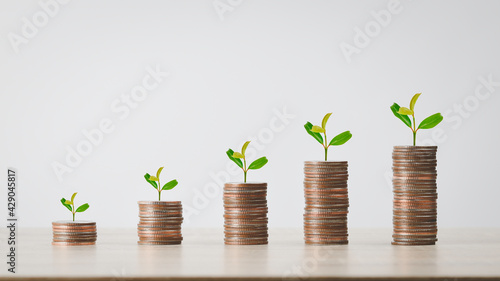 Tree on pile of coins are lined up on the table from small to large size shown in the form of a graph , reward for life ,money growth and business concept