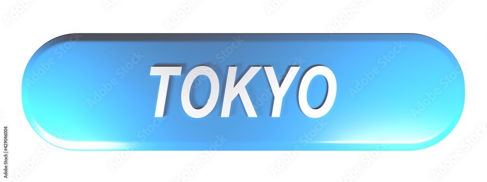 TOKYO blue rounded rectangular push button on white background - 3D rendering illustration TOKYO blue rounded rectangular push button on white background - 3D rendering illustration