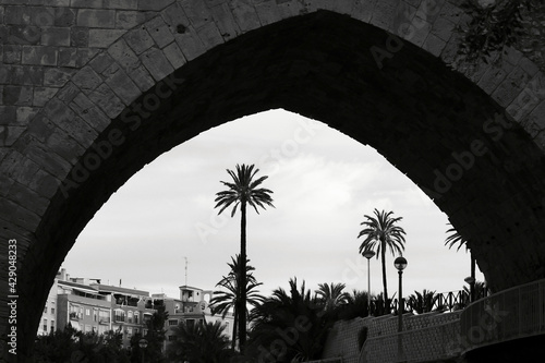 Santa Teresa bridge and the hillside of the Vinalopo River in Elche photo