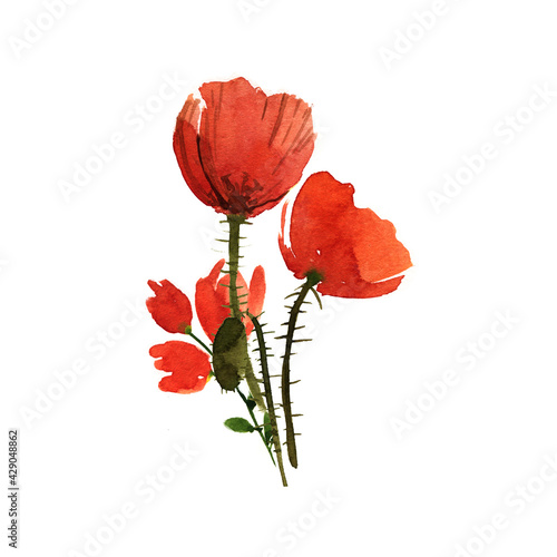 watercolor flowers bouquet with  red poppies  wildflowers  meadow flowers  garden flowers cut out on white background