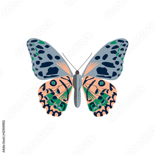 Multi-colored butterfly. Print for clothing or any other product. Vector illustration on white background.  © Gulnaz