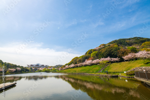北九州市民のオアシス,　春の福岡県が管理する中央公園 © doraneko777