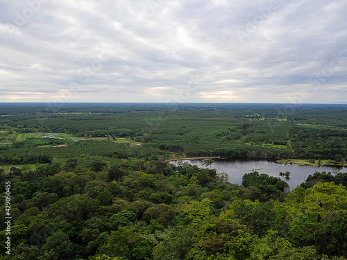 A bird's-eye view of the beautiful natural scenery of the river and green tropical rainforest.