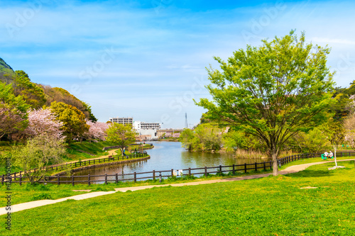 北九州市民のオアシス, 春の福岡県が管理する中央公園