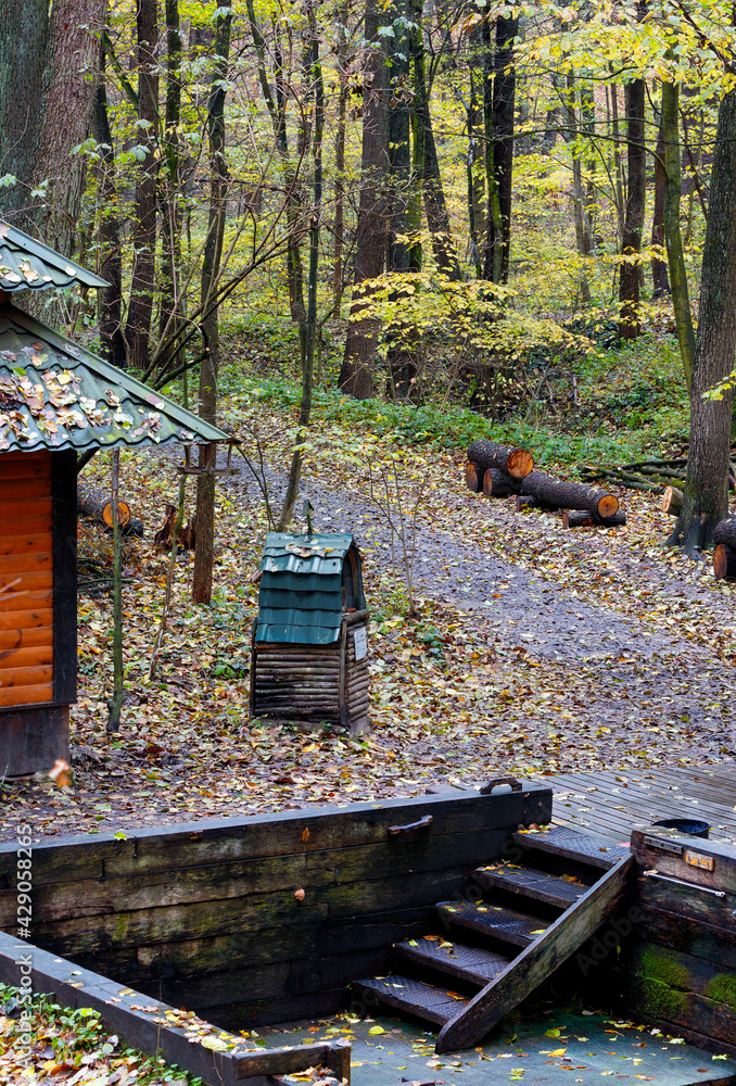 Old wooden forest font in the autumn forest. Old wooden forest font in the autumn forest.